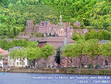 Heidelberger Schloss am Sdufer vom Neckar in Heidelberg